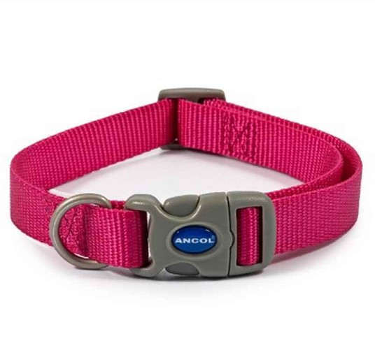 Ancol Pet Collars