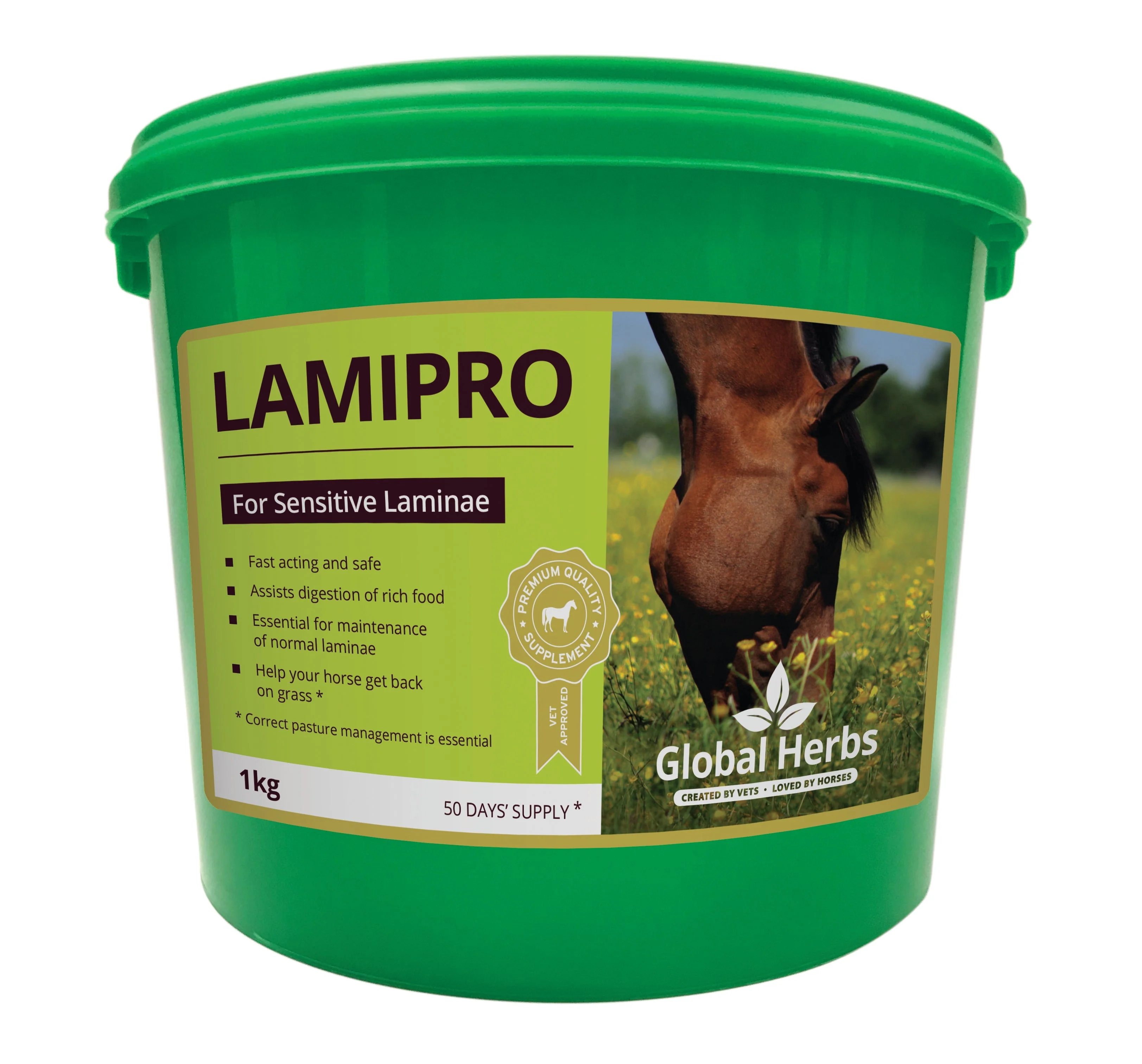 Global Herbs Lamipro Powder 1kg
