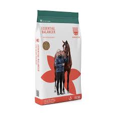 Saracen Essential Balancer 20kg