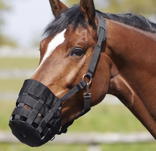 Bitz Supersoft Anti-Rub Grazing Muzzle