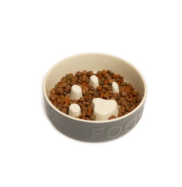 Scruffs Slow Feeding Bowl