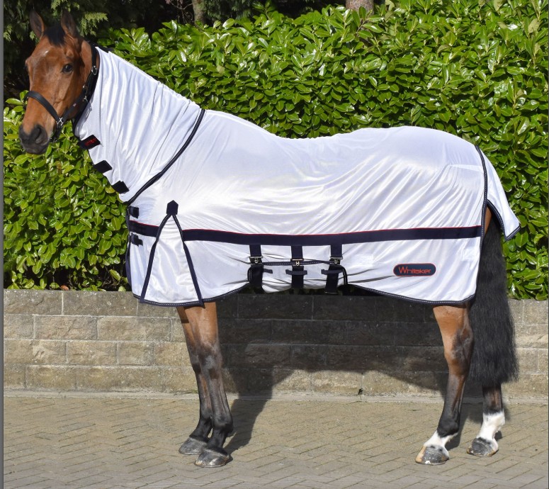 Whitaker Rastrick Combo Fly Rug