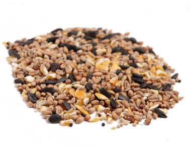 Superior Wild Bird Food 20kg